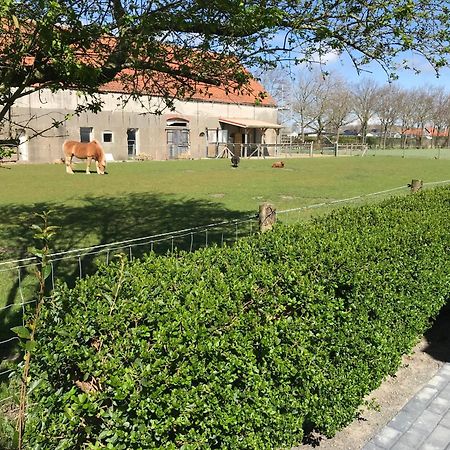 Vakantiewoningen De Schelp Renesse Eksteriør billede
