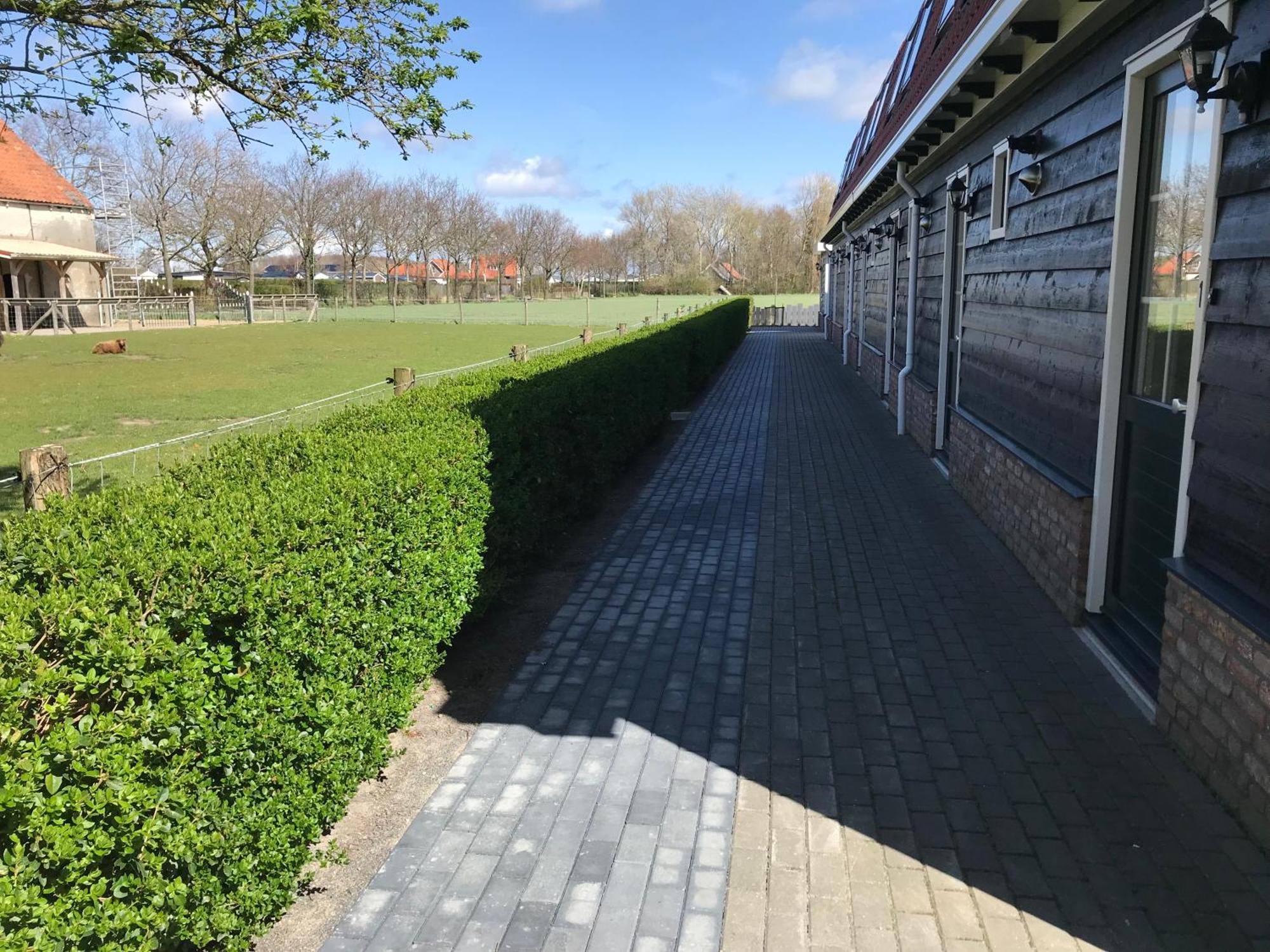 Vakantiewoningen De Schelp Renesse Eksteriør billede