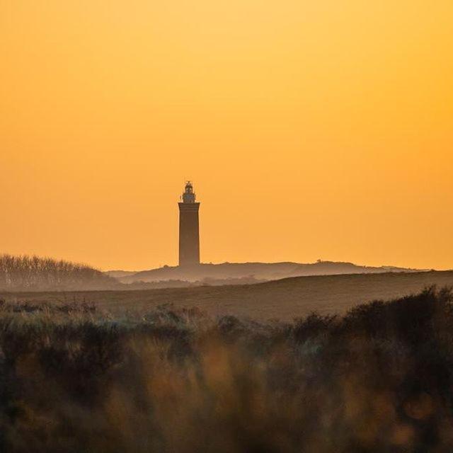 Vakantiewoningen De Schelp Renesse Eksteriør billede